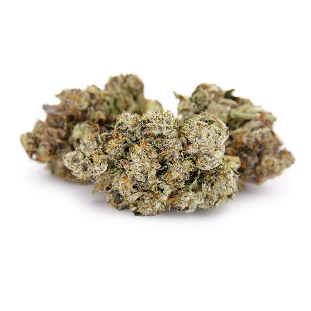 Rocket Chronic