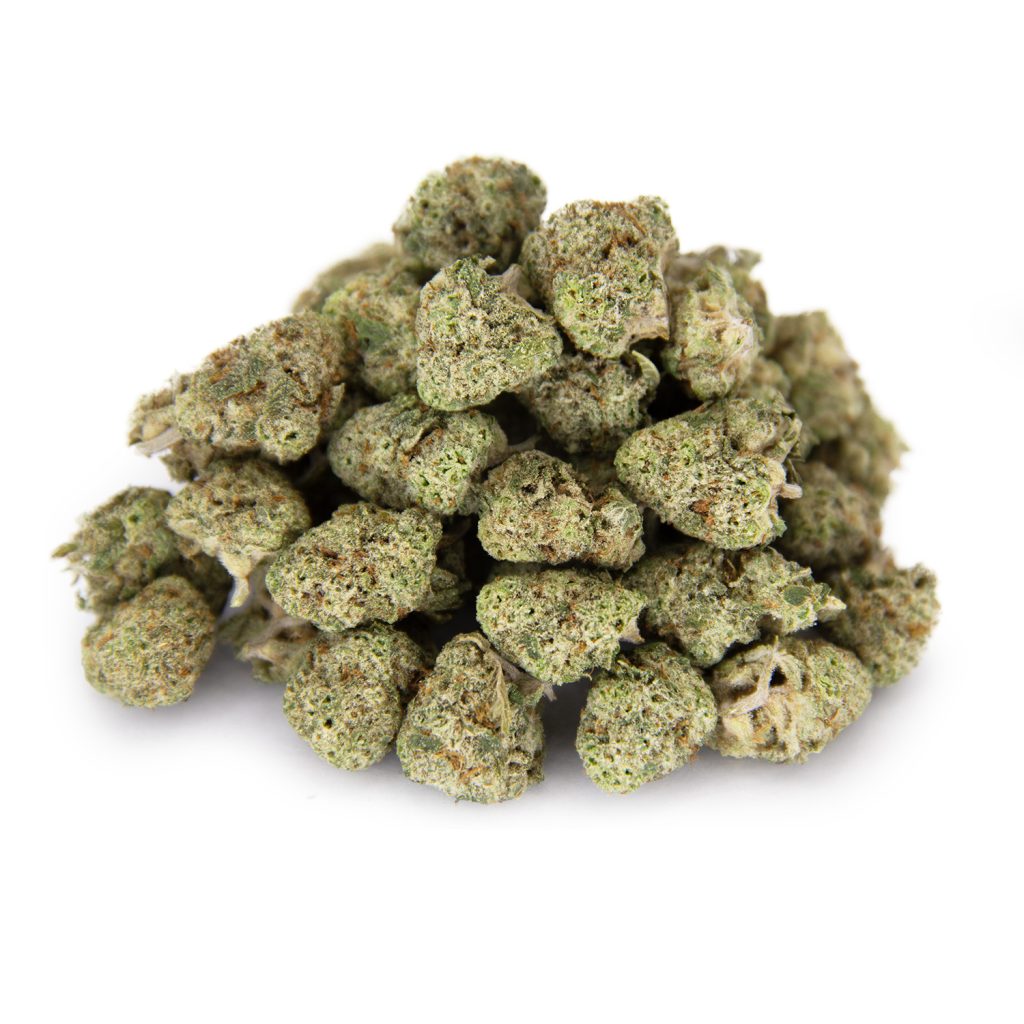 Rocket Chronic
