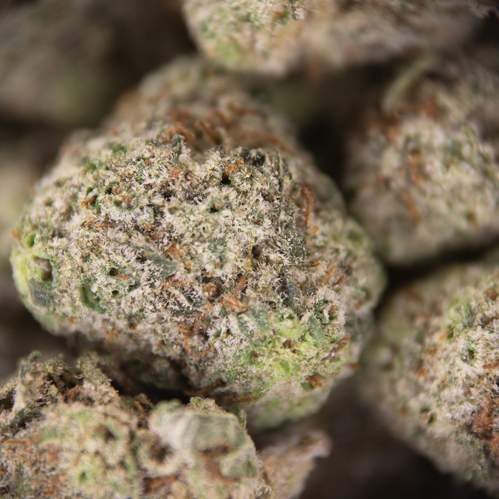Rocket Chronic