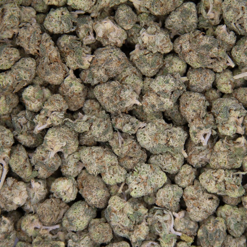 Rocket Chronic
