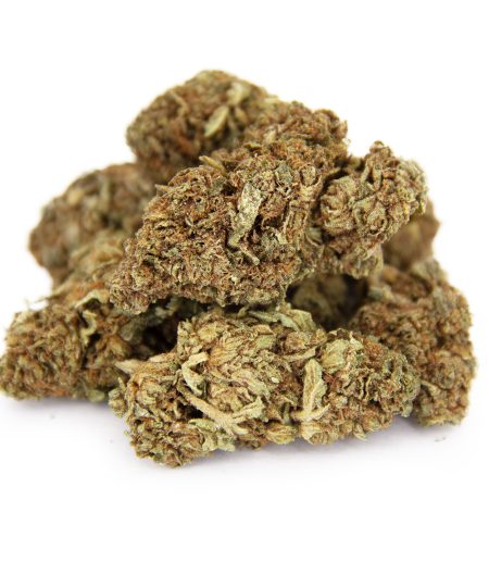Dutch Treat AA-