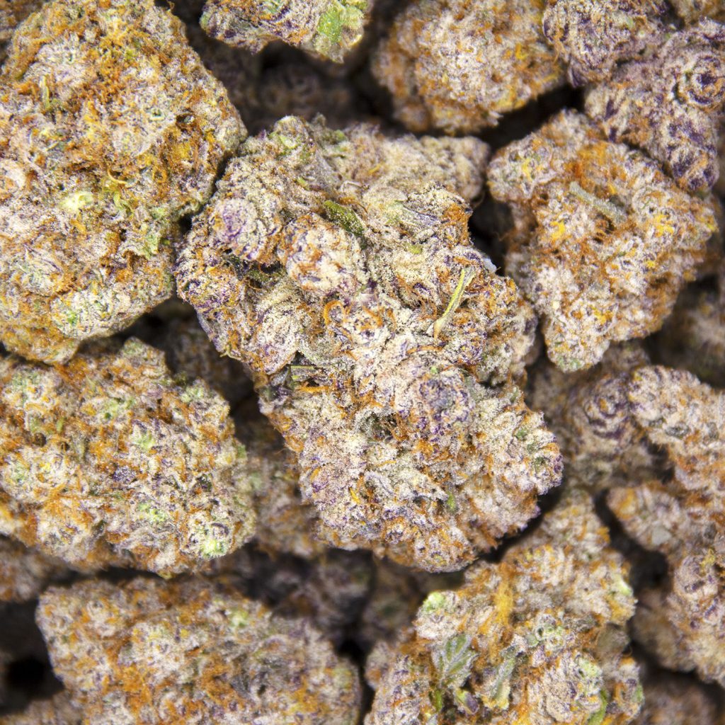Rocket Chronic