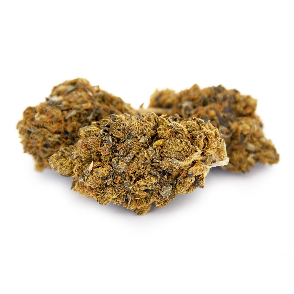 Rocket Chronic