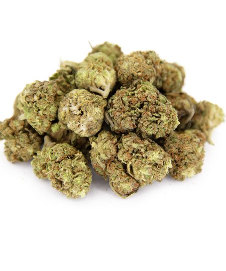 Alien Cookies (mediums) AA