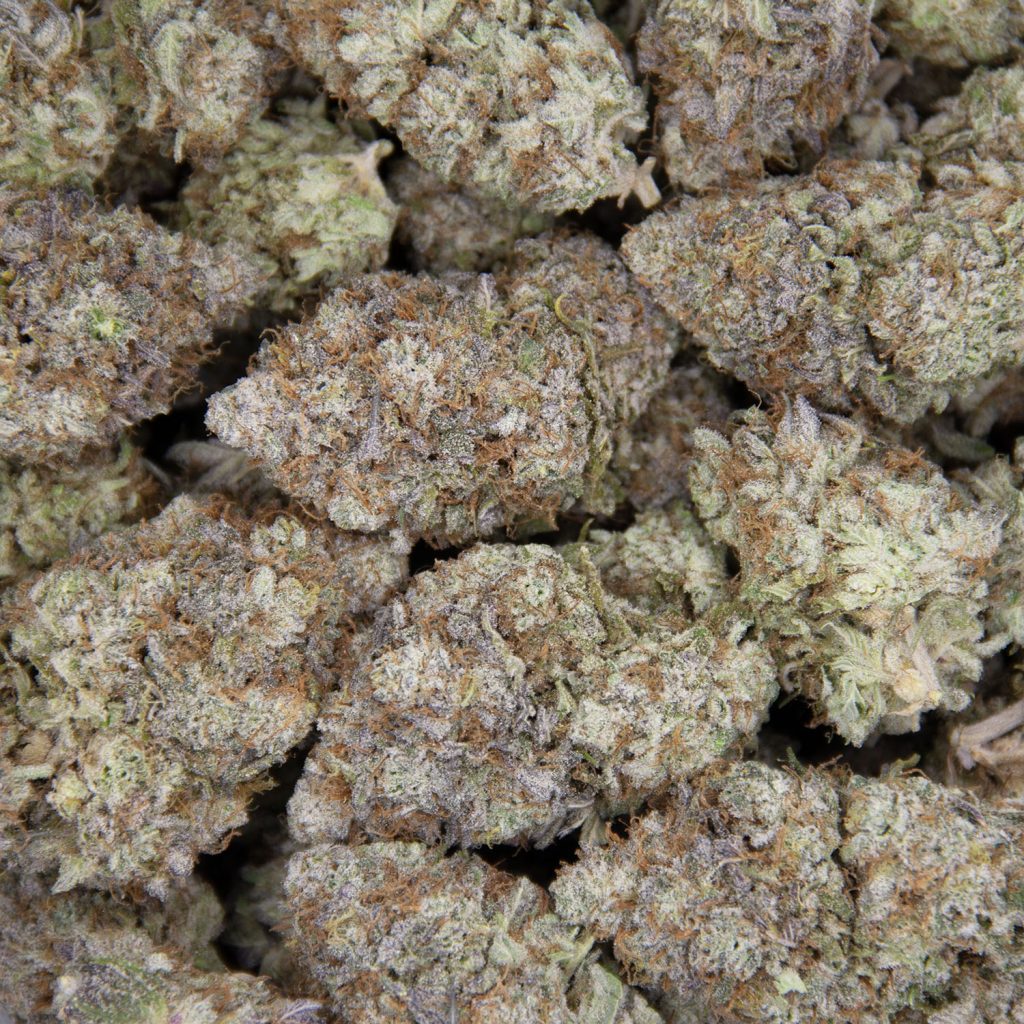 Rocket Chronic