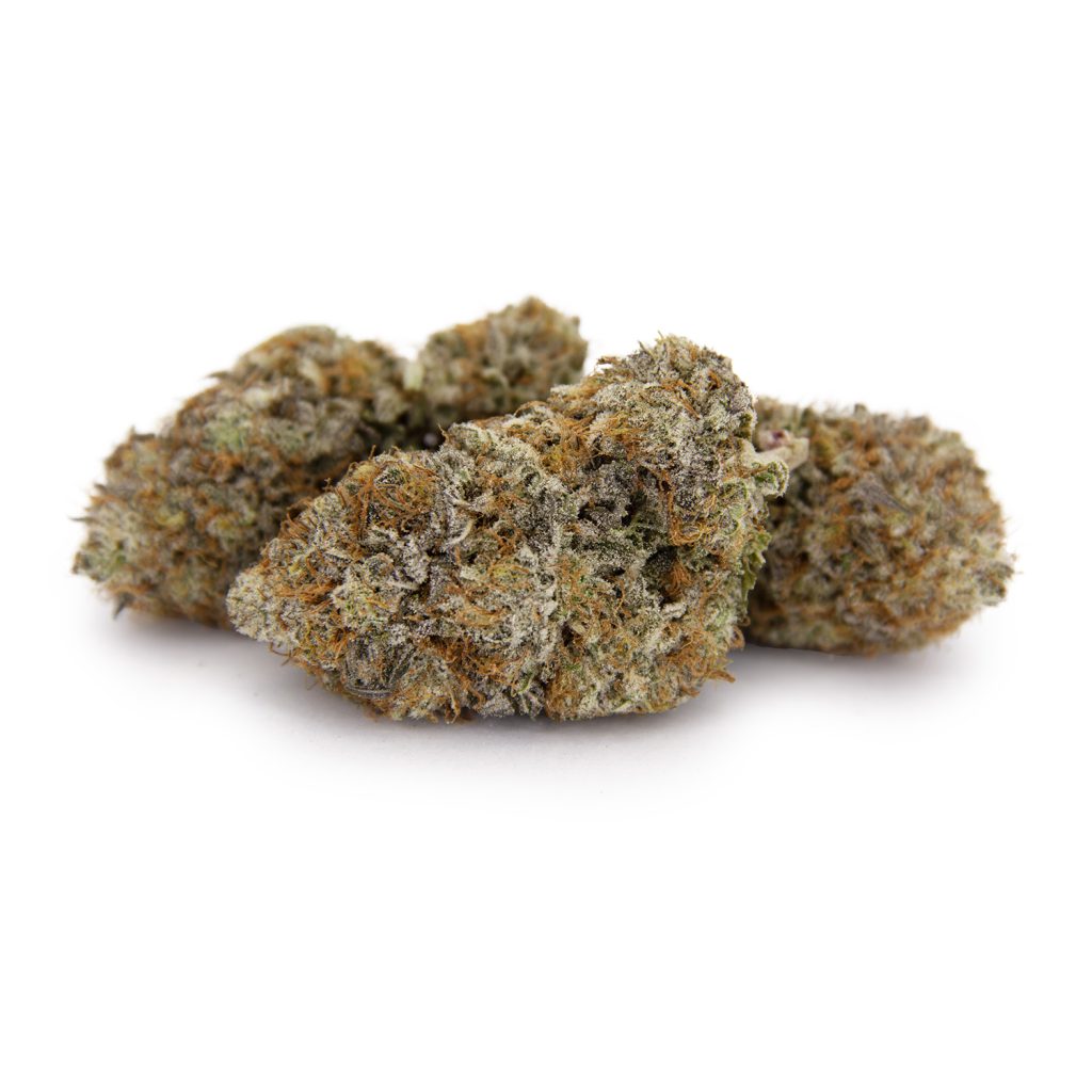 Rocket Chronic
