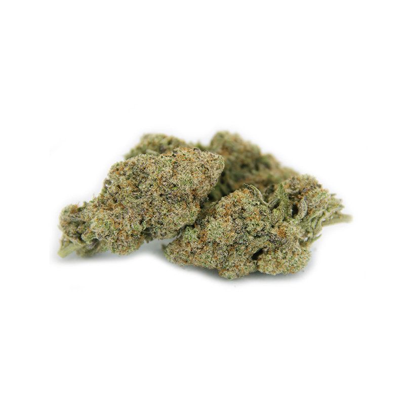 Rocket Chronic