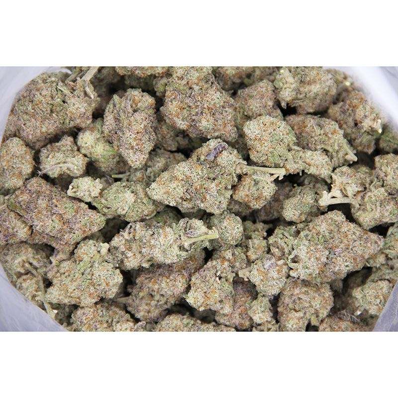 Rocket Chronic