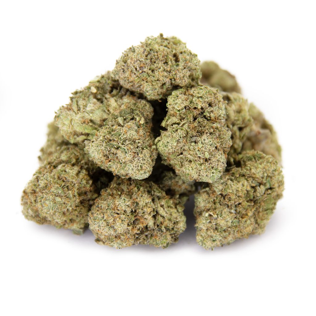 Rocket Chronic