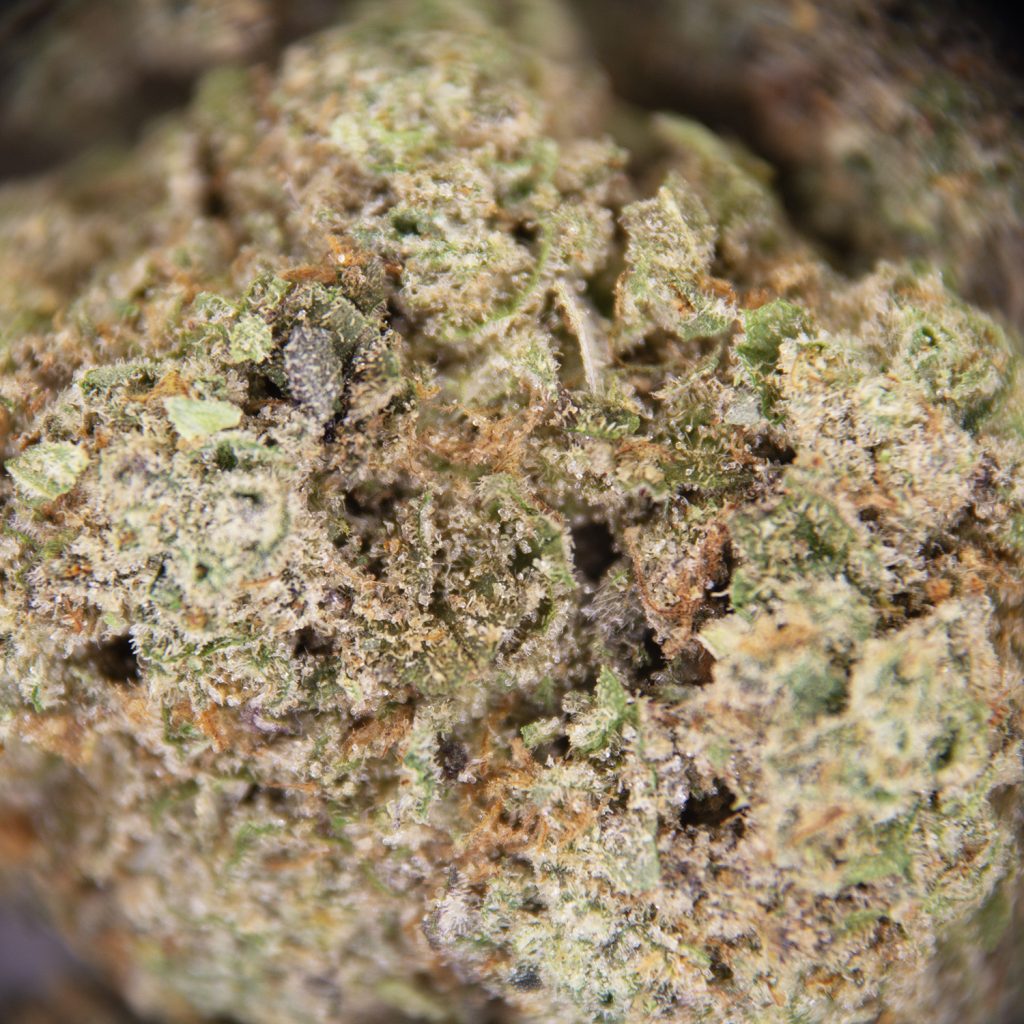 Rocket Chronic
