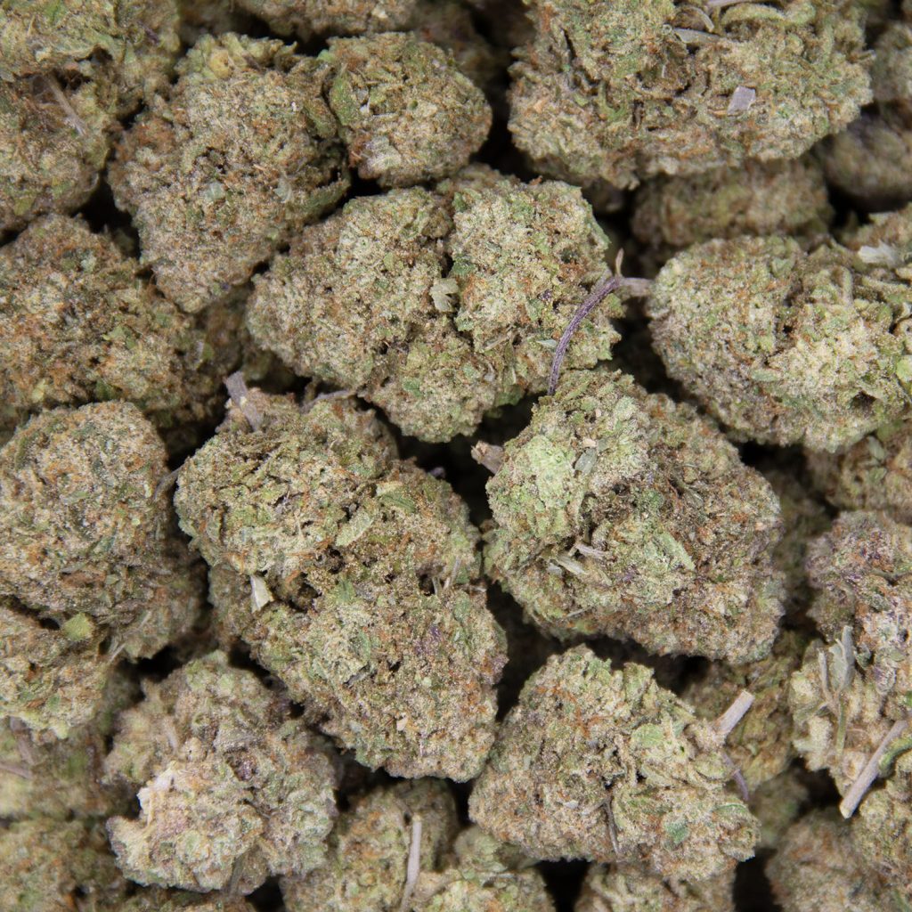 Rocket Chronic
