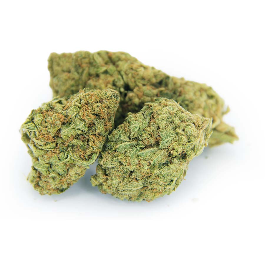 Rocket Chronic
