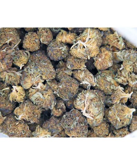 Black Diamond AA bag bgbso