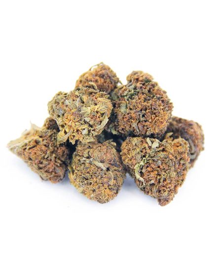 Black Diamond AA bgbso