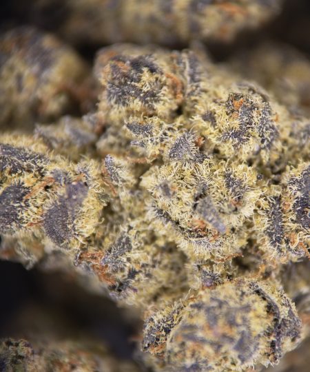 Black Patronus (mediums) AAA copy