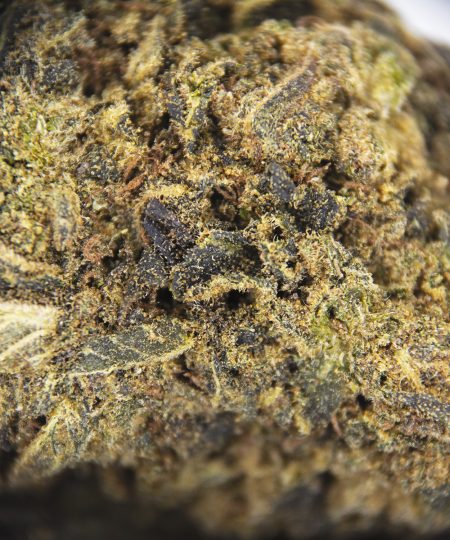 Grandmaster Kush AA ZOOM