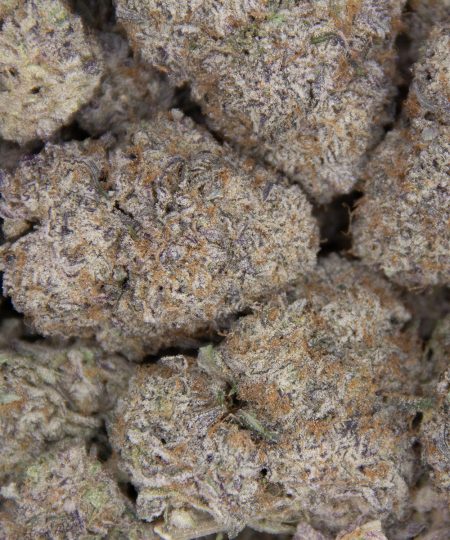 Grape Stomper AAA (1) copy