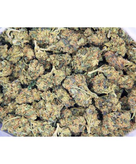 Lemon Diesel AA bag bgbso