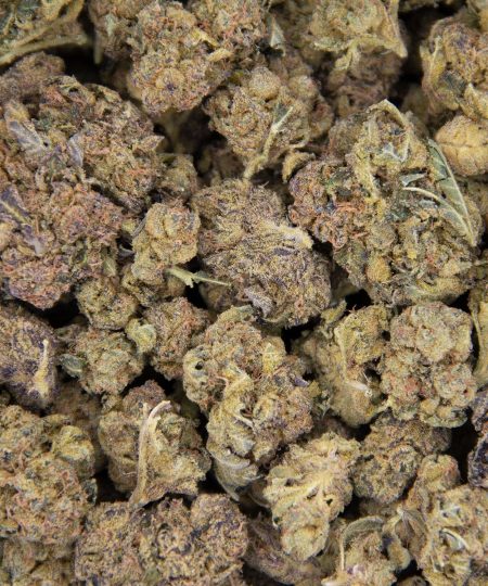 McGrupp AA (2) copy BAG