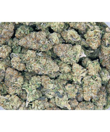 Motorhead AAA bag bgbso