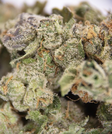 Point Break AA (1) copy