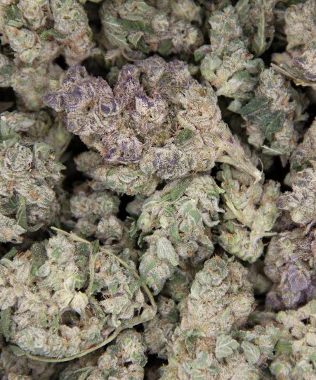 Point Break AA (2) copy BAG