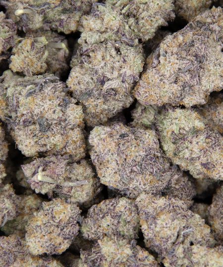 Purple Gelato AAA+ (1) copy BAG