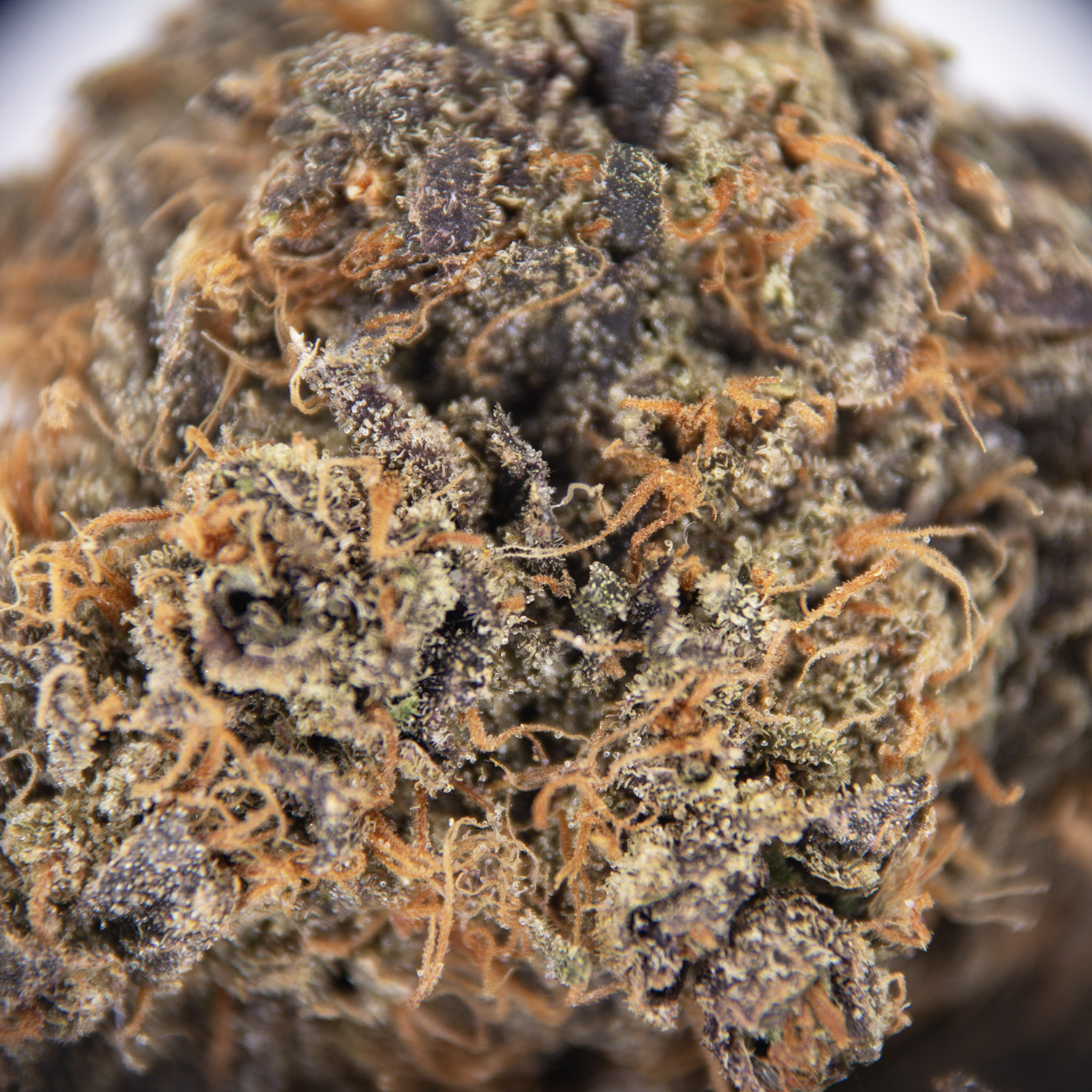 Purple Lemonade AAA copy