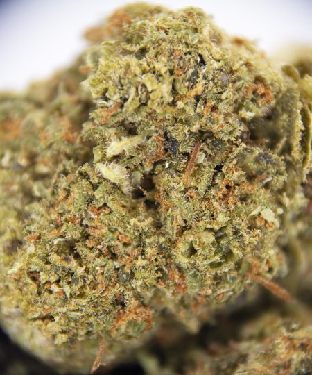 Thin Mint AA (1) copy