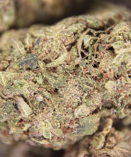 Alternative view of Deadhead OG (mediums) AA