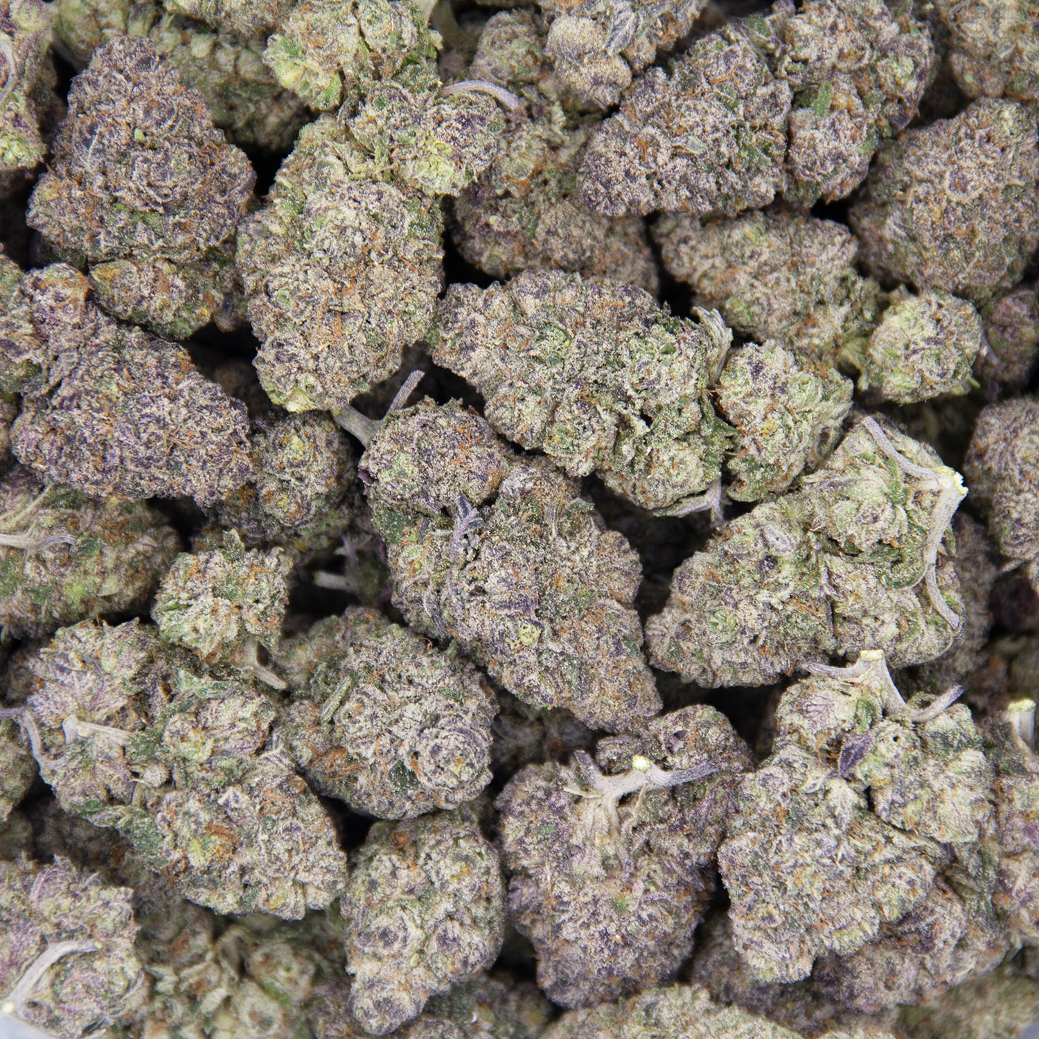 Grape Gasoline AAA - Image 3