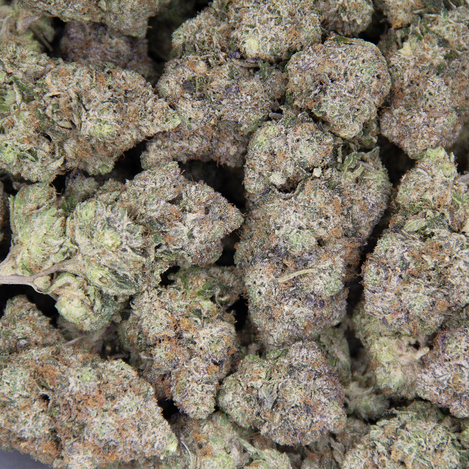 Tom Ford Bubba Kush AAA+ - Image 3