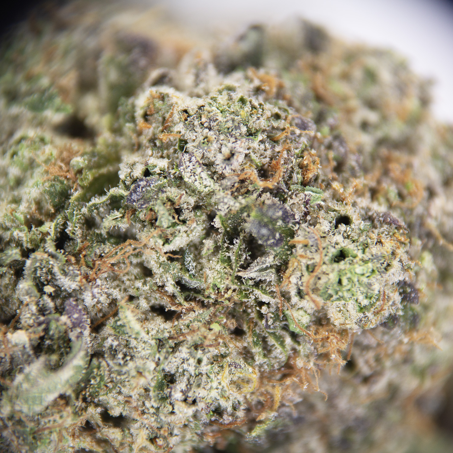 Tom Ford Bubba Kush AAA+ - Image 2