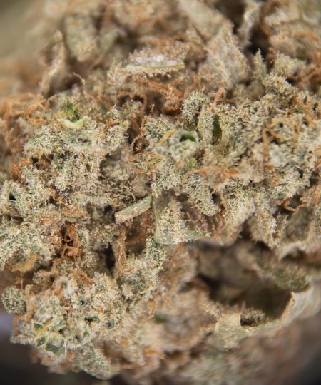 Alternative view of Wookie AA