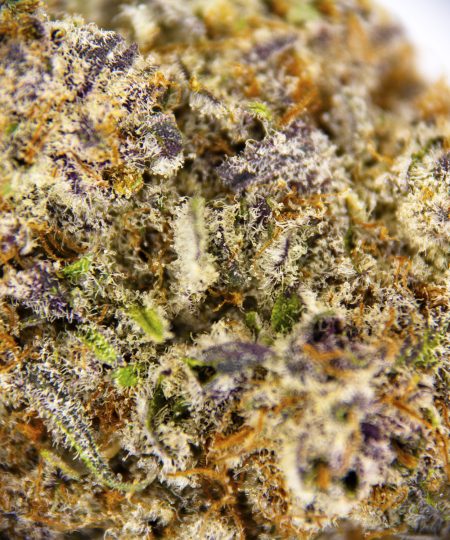 Alternative view of Code Orange AAAA