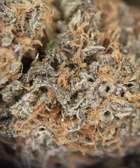 Alternative view of Do-Si-Dos AA