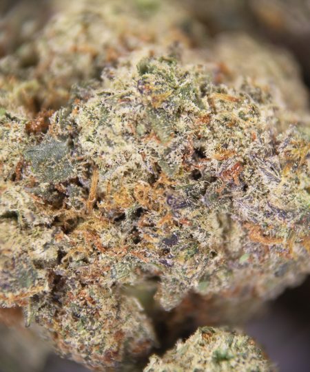 Alternative view of Donkey Butter (mediums) AAA