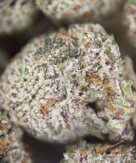 Alternative view of Gorilla Glue #5 (smalls) AAA