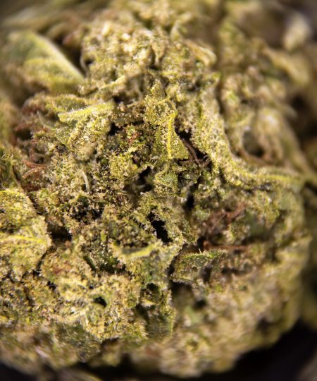 Alternative view of Gorilla Skittles (mediums) AA