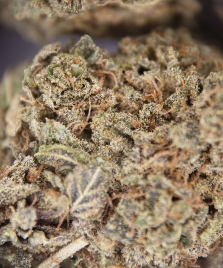 Alternative view of Hash Plant AA-