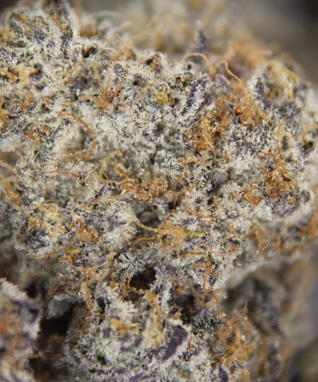 Alternative view of LA Kush Cake AAAA