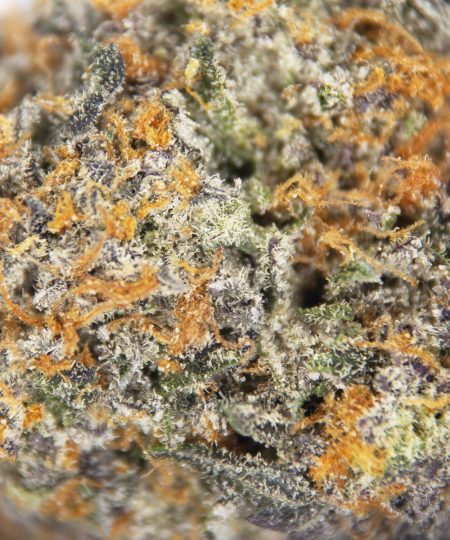 Alternative view of Mandarin Sunset AAA