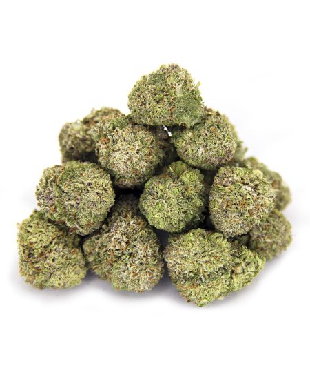 Pink Tuna (mediums) AAA-