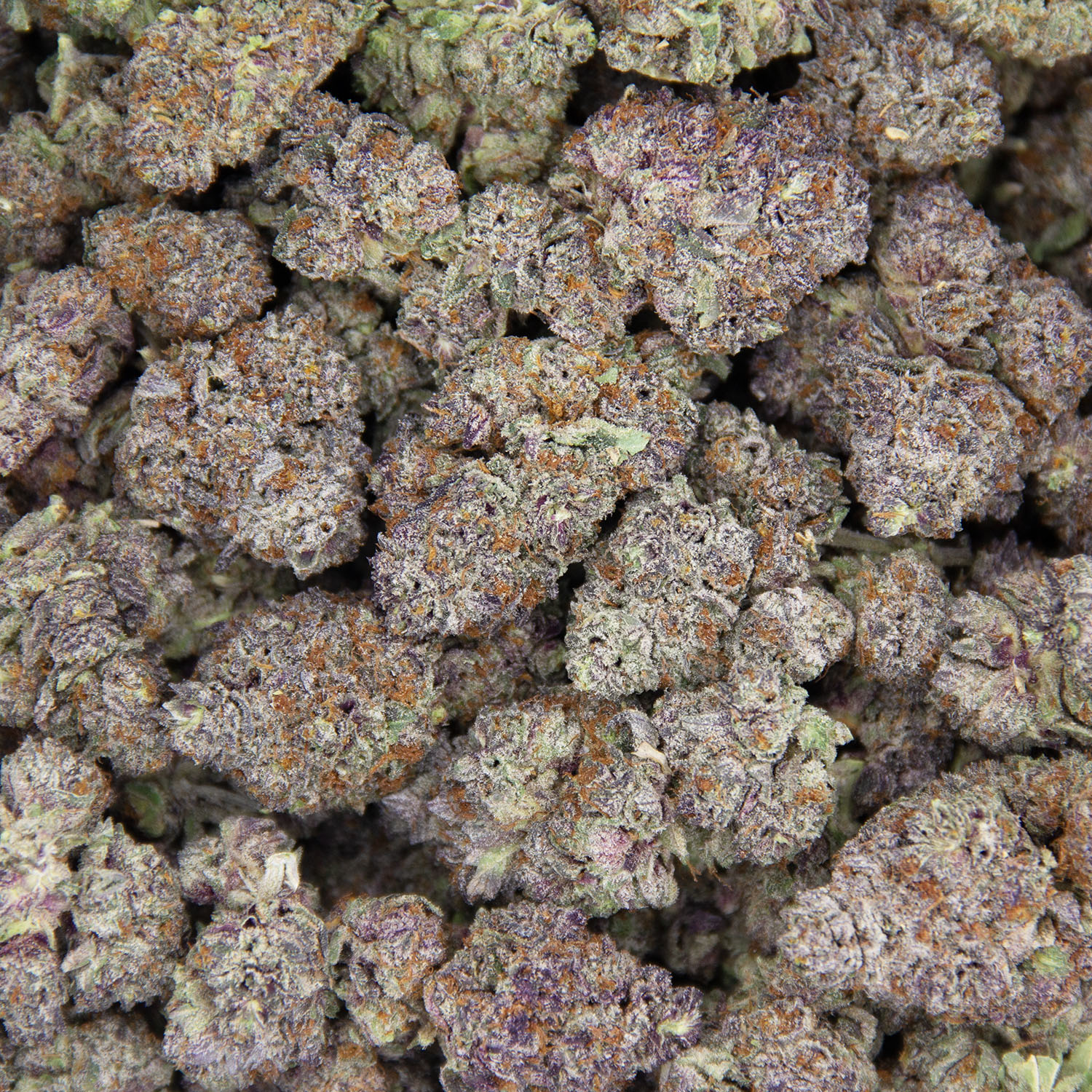 Red Bullz AAA - Image 3