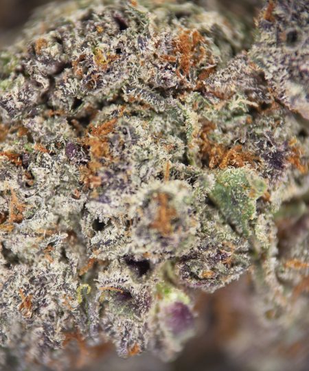 Alternative view of Red Bullz AAA