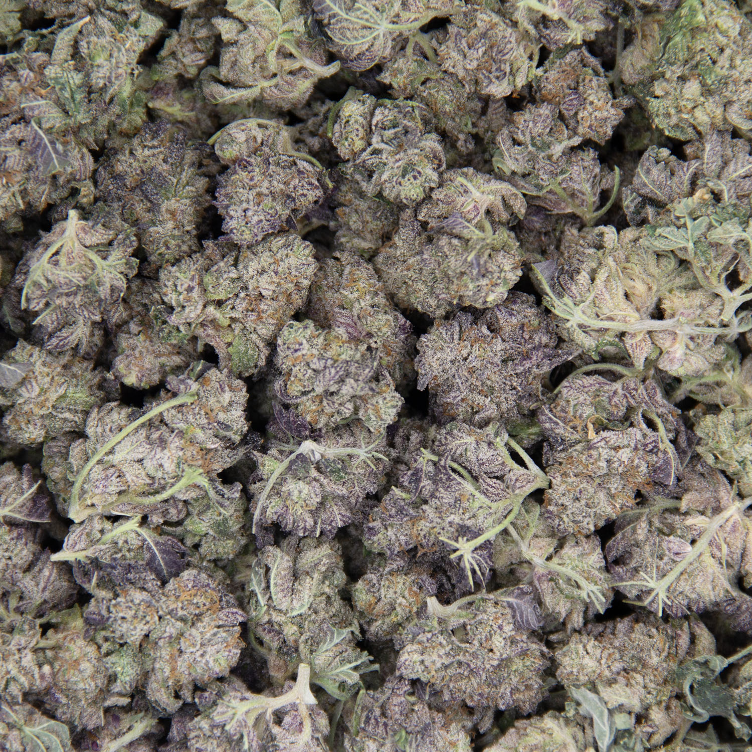 Secret Cookies (smalls) AAA - Image 3