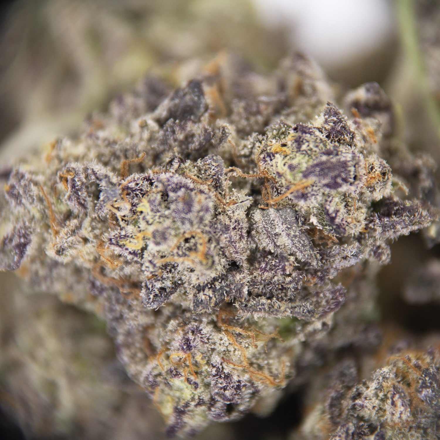 Secret Cookies (smalls) AAA - Image 2