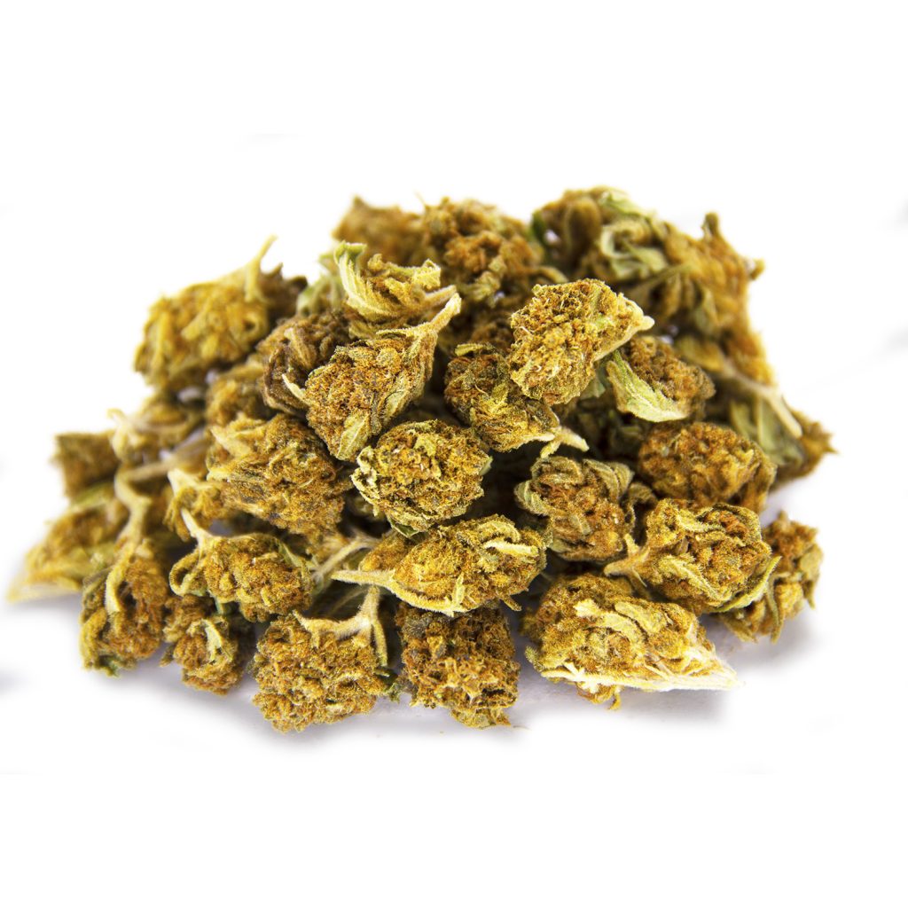 Rocket Chronic