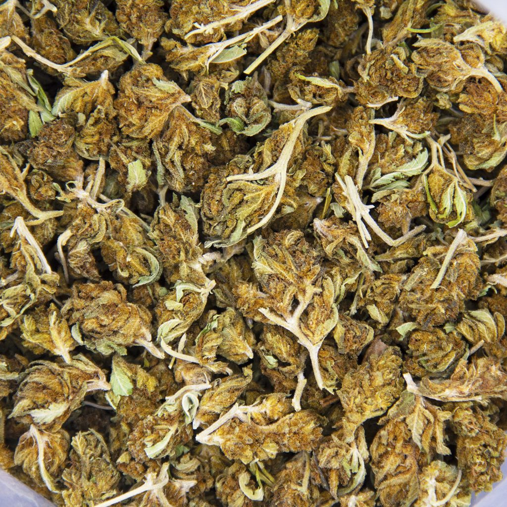 Rocket Chronic