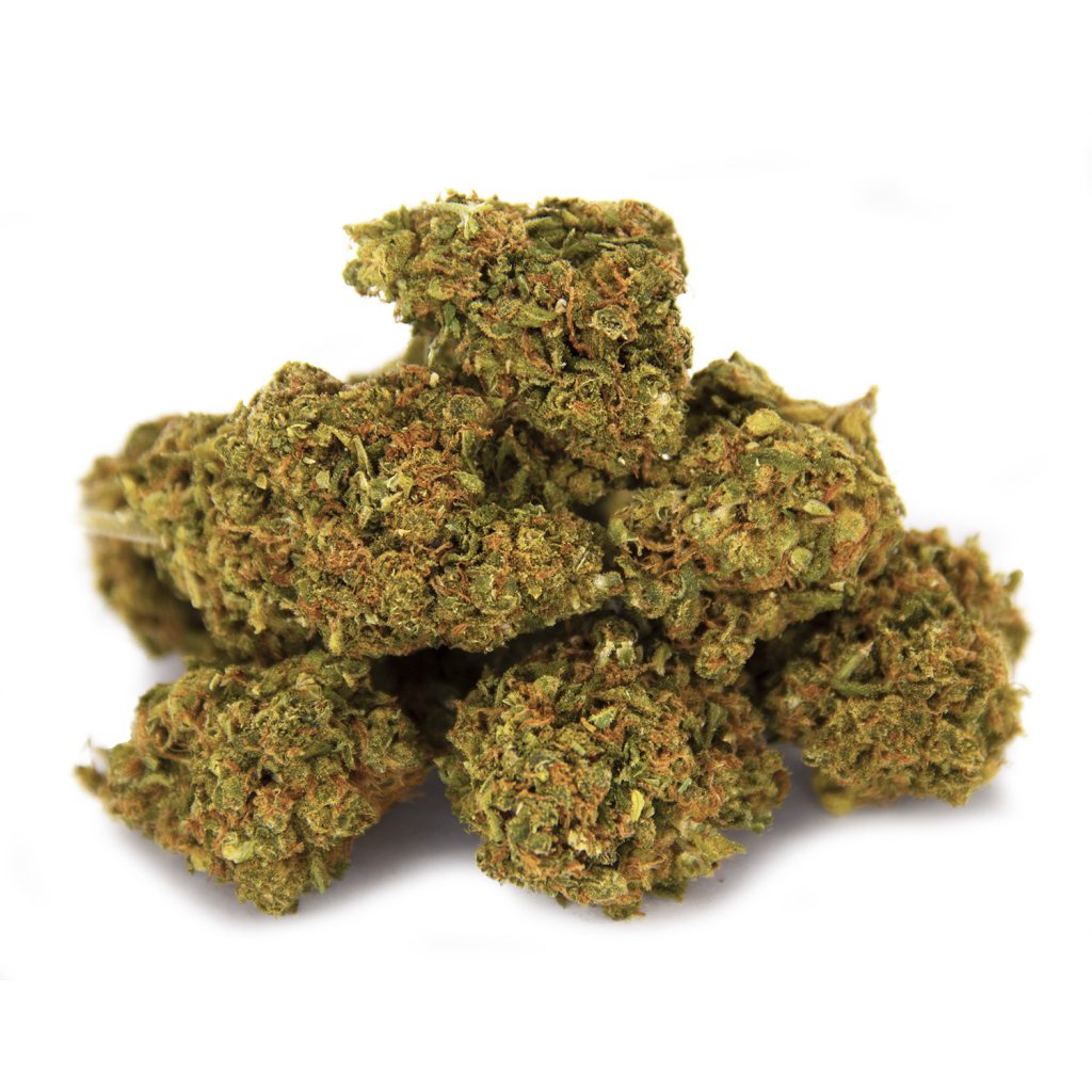 Rocket Chronic